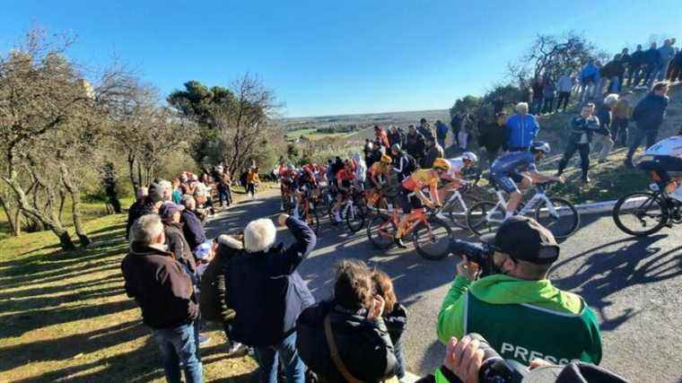 Frenchman Bryan Coquard wins the second stage of the Etoile de Bessèges-Tour du Gard cycling race in Rousson