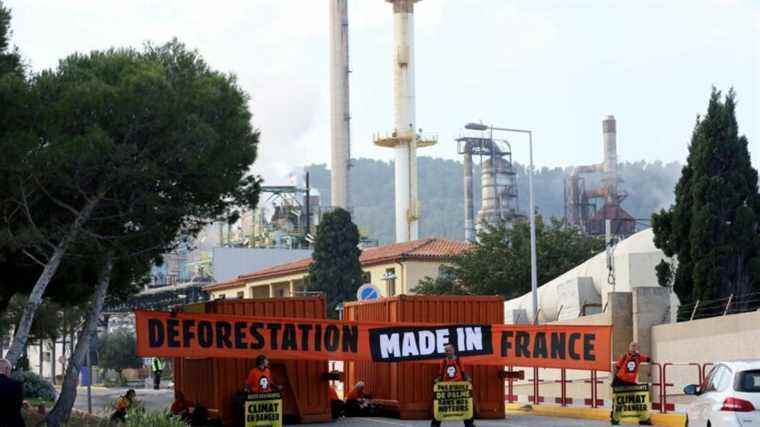 Greenpeace accuses Total of concealing the climate impact of its refinery in the Bouches-du-Rhône