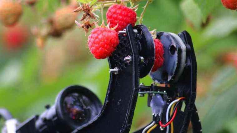 Harvesting robots are coming