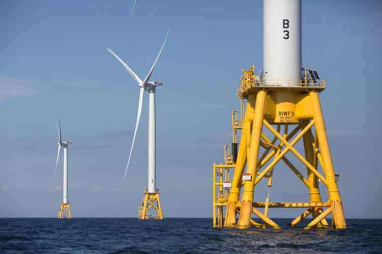 Huge park of 2000 km2 |  Launch of auction in the United States for offshore wind turbines