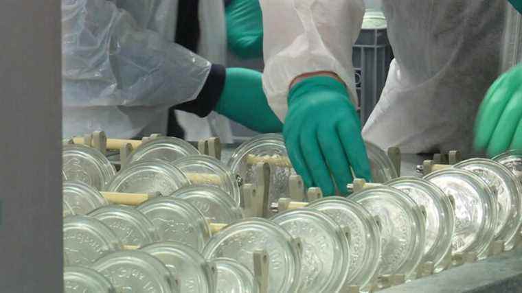 In Avignon, a container washing site to remove plastic from collective canteens