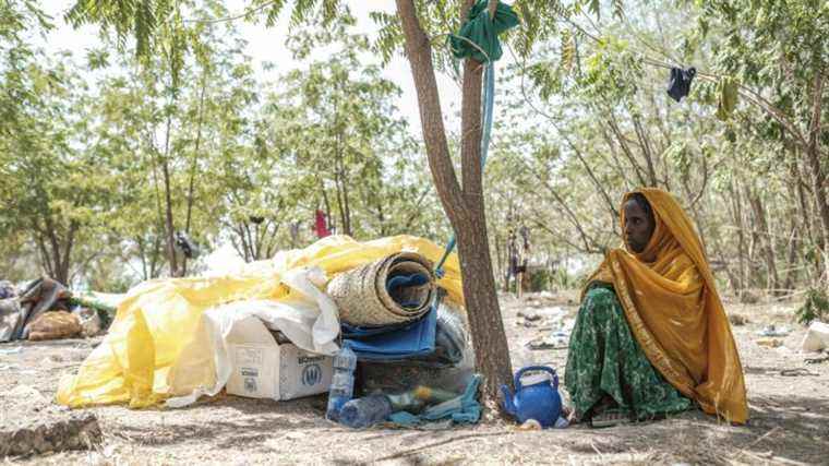 In Ethiopia, the Afar region is the scene of a new humanitarian drama