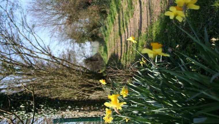 In the Mayenne of hollow roads, 65 proposed routes.