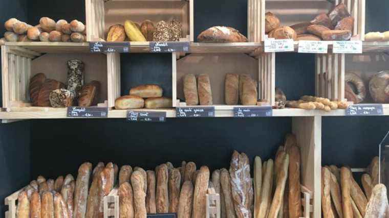 Is the price of the baguette really “framed”, as Alexis Corbière asserts?