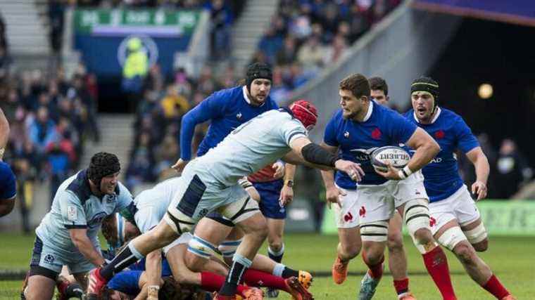 LIVE – Six Nations Tournament: follow Scotland