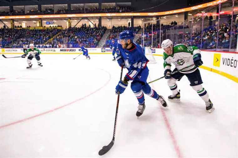 LNAH players wanting to play with the Lions will be suspended