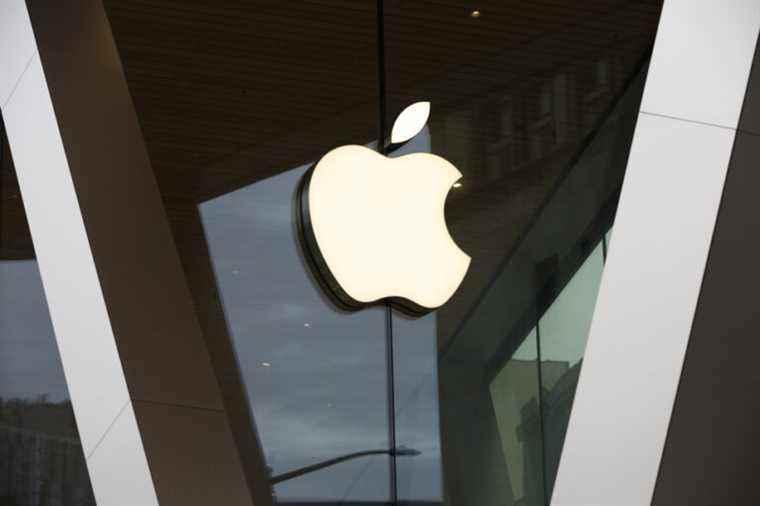 Large Investors |  The Caisse likes Apple a lot, the banks a little less