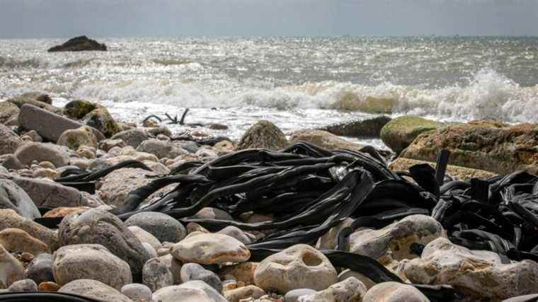 Le Havre finally hopes to get rid of its old coastal dump