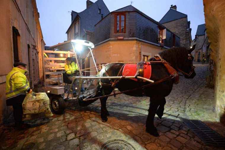 Le Mans |  The horse “Doupette” comes to the aid of garbage collectors