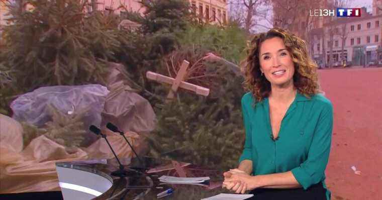 Marie-Sophie Lacarrau soon to return to TF1 news: the date revealed