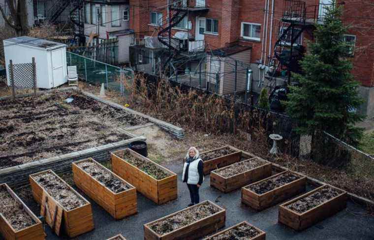 Montreal will invest $10 million in its community gardens