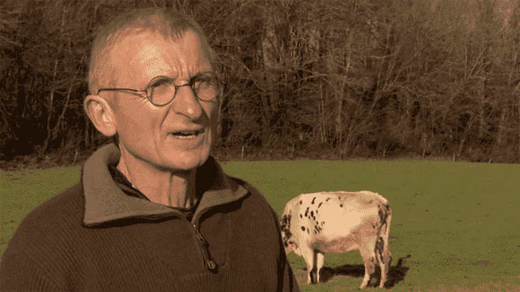 Patrick Mercier, Camembert producer in search of ecology