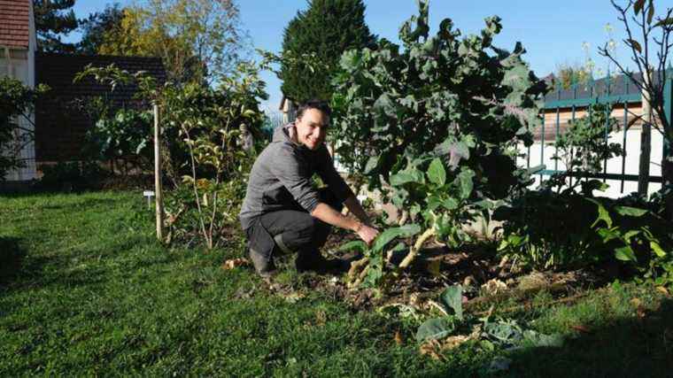 Perpetual Vegetables by William Berthold