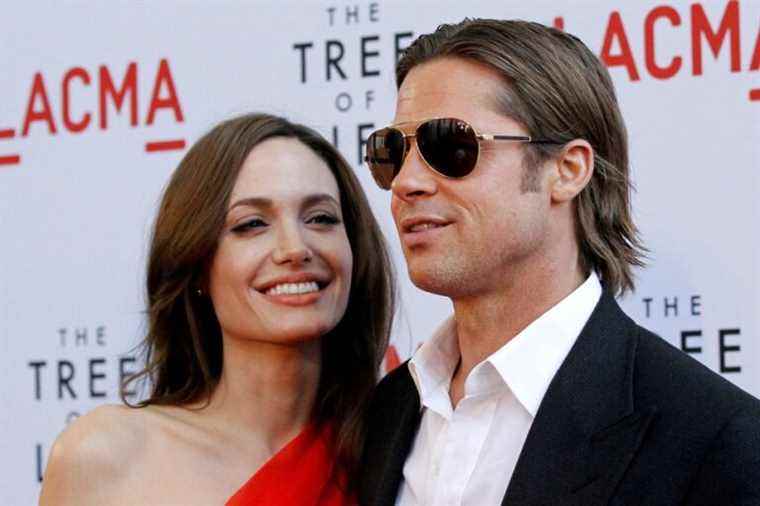 Provence |  Brad Pitt opposes the sale of part of his wine estate