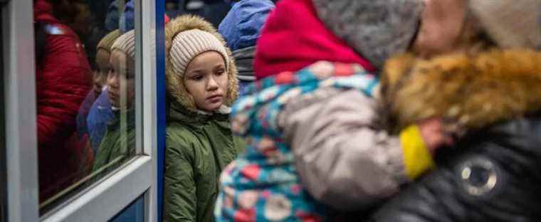 Reception of Ukrainian refugees: the federal government must withdraw visas