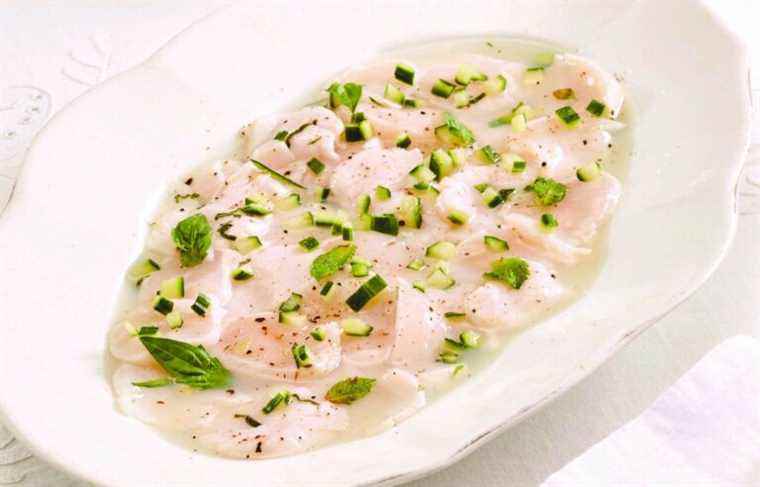 Recipe for scallop ceviche with gin, cucumber juice and lime