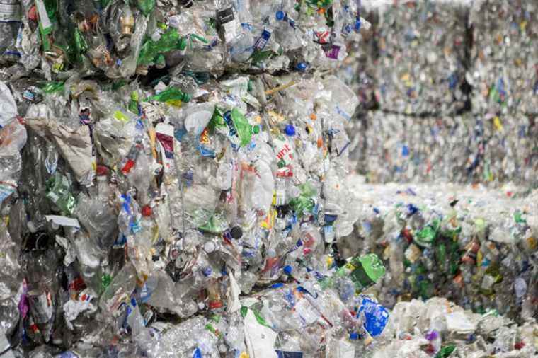 Recovered plastic materials |  TerraCycle at the heart of a new controversy