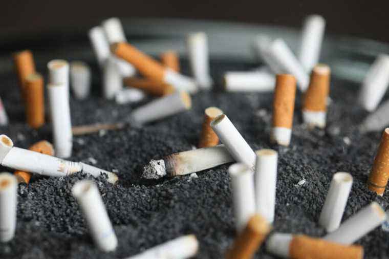 Replica |  The return of cigarettes?  No, the arrival of new solutions