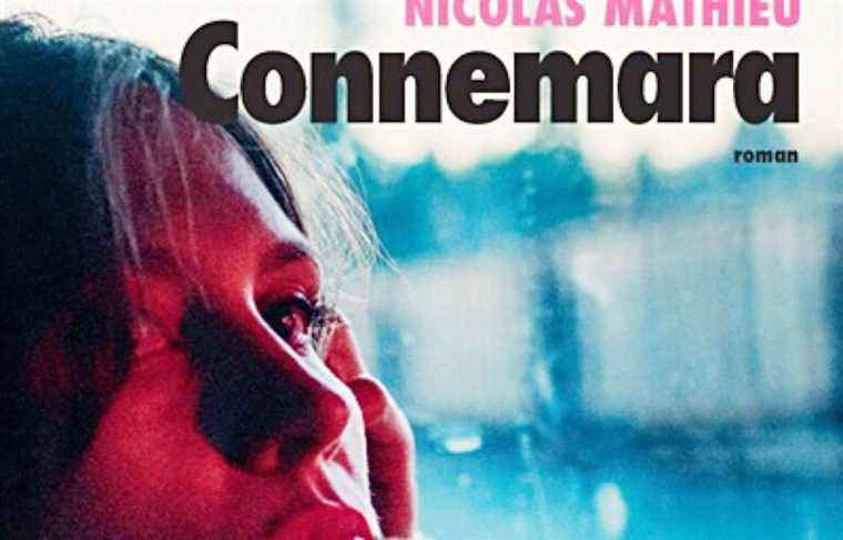 Review |  “Connemara”: Nicolas Mathieu, anthropologist novelist