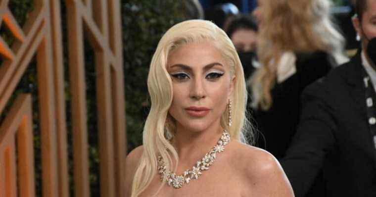 SAG Awards: Lady Gaga, Venus Williams and Salma Hayek… The craziest outfits in pictures