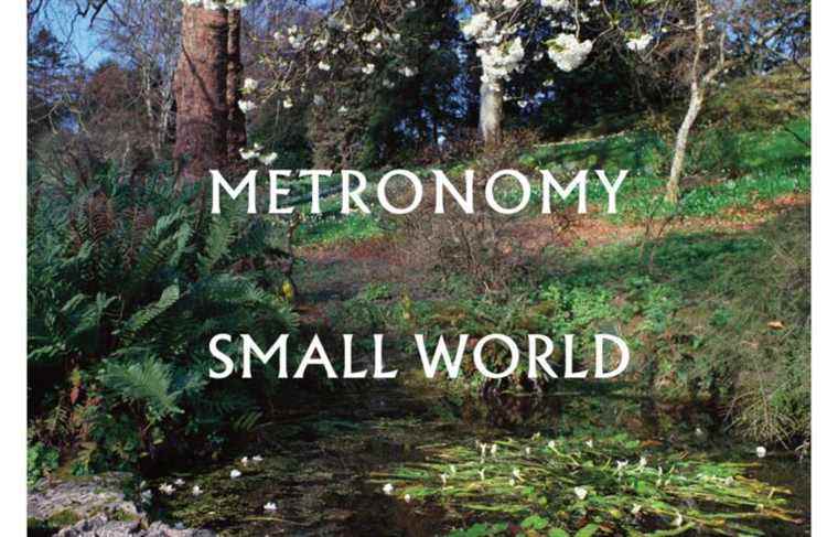 Small World, Metronomy |  The duty