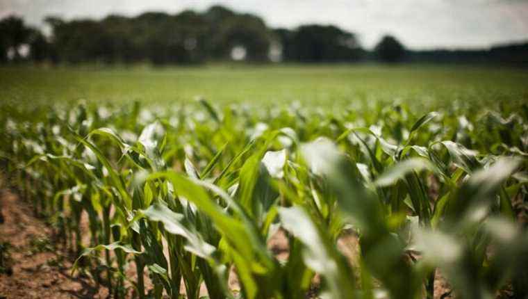 Special day “Farmers Generation”: the Young Farmers of Alsace