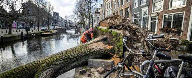 Storm Eunice sweeps across northern Europe, killing at least 13