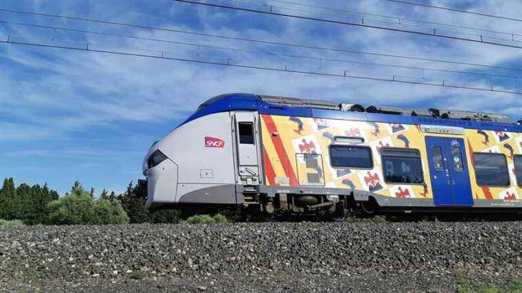 TESTIMONY.  Travelers fined in Marseille for boarding a train recommended by the SNCF