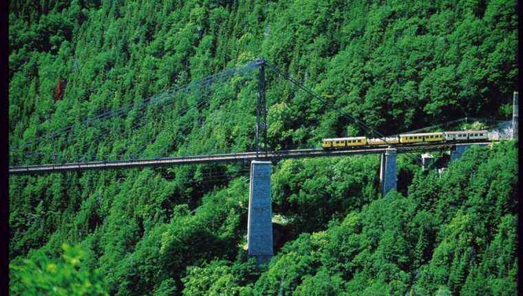 THE YELLOW TRAIN – One of the most beautiful trains in the world