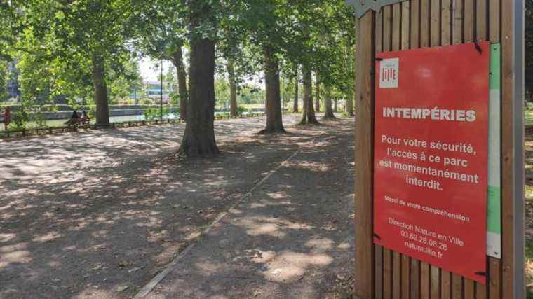 The North and Pas-de-Calais on alert for strong winds, the city of Lille closes its parks