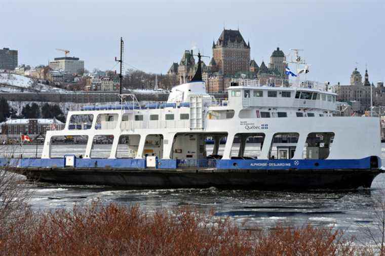 The Quebec-Lévis ferry amputated for lack of manpower