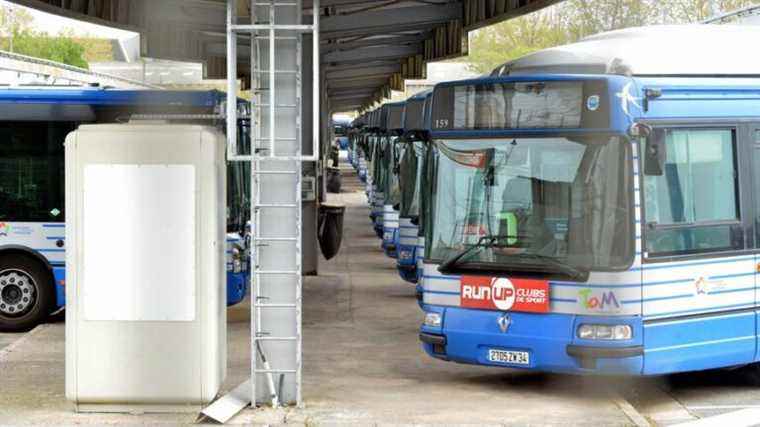 The amigo, the nightclub bus resumes service in Montpellier