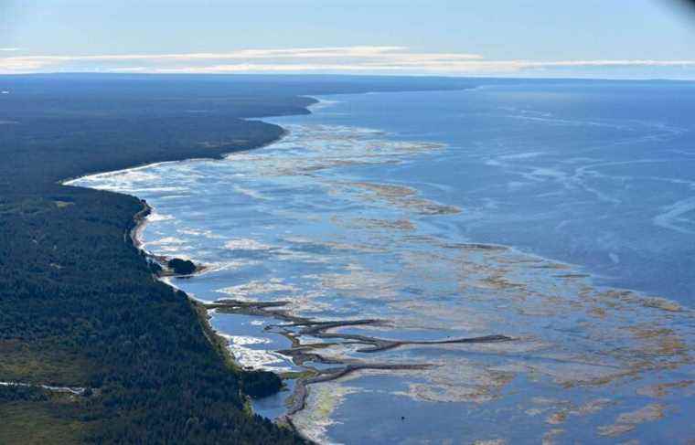 The application of Anticosti Island is submitted to UNESCO