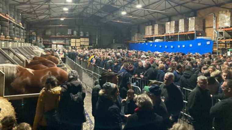 The crowd in Vercel for the departure of the Montbéliardes and Comtois horses for the agricultural show