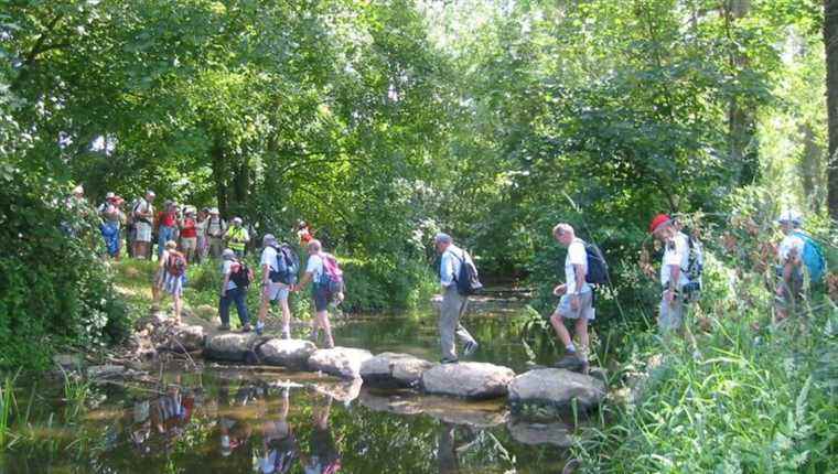 The general meeting of the Departmental Hiking Committee takes place this morning in Saint-Berthevin