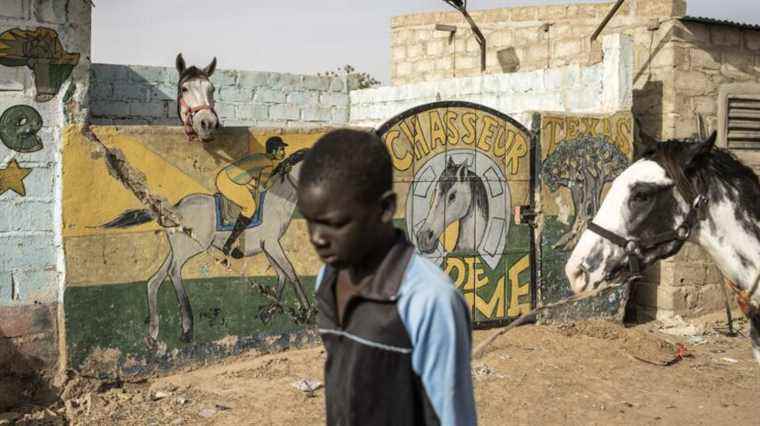 The horse has occupied a central place in the culture of Burkina Faso for centuries.