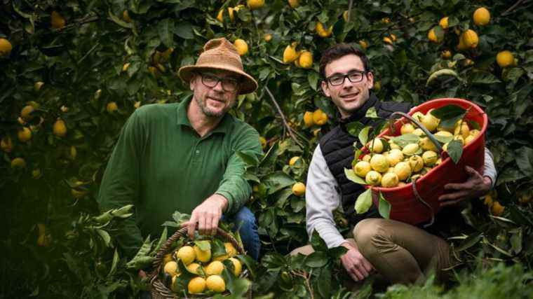 The lemon festival, in Menton