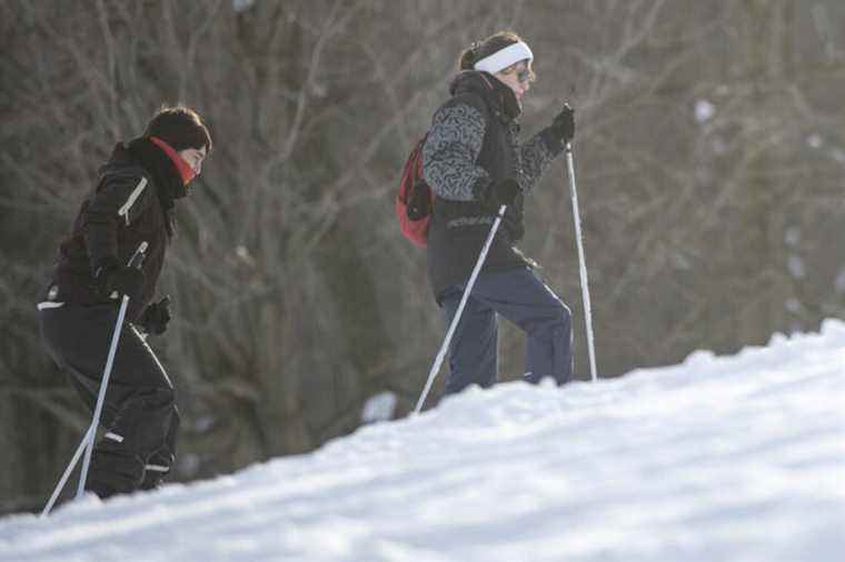 The little-known federation of cross-country skiers