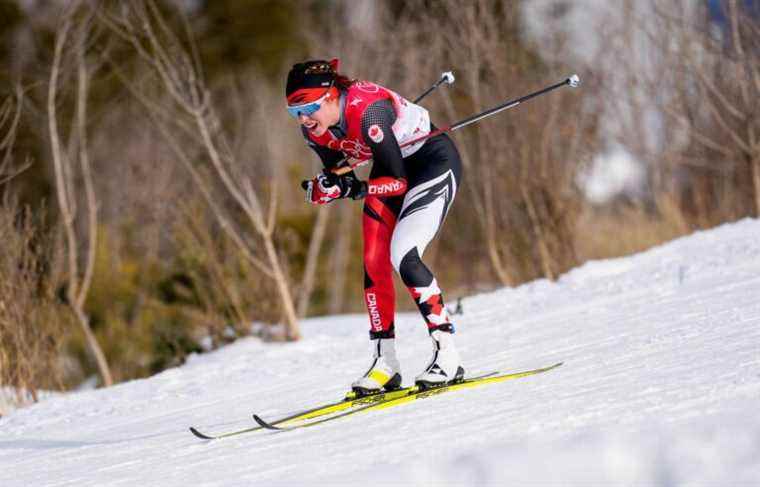 Touch of snow, or the art of preparing cross-country skis