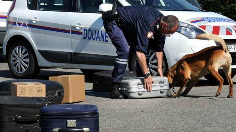 Toulouse customs welcome exceptional results, with seizures on the rise