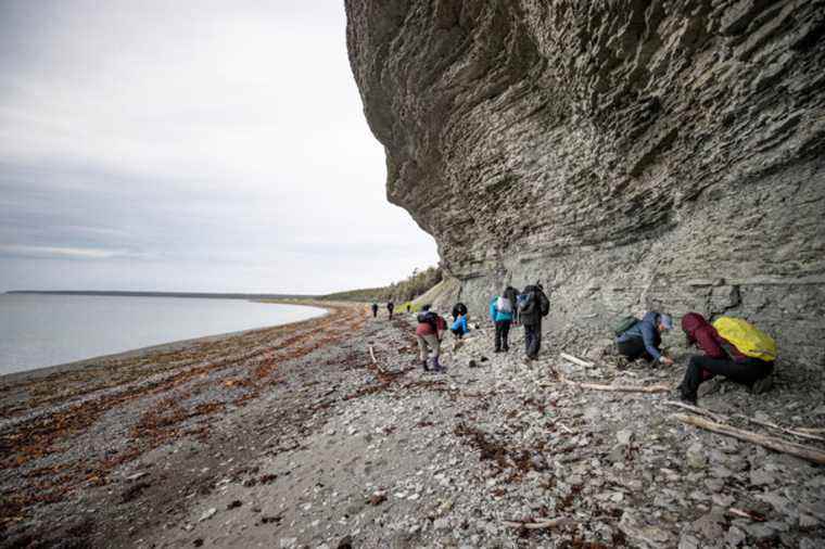 UNESCO World Heritage |  Anticosti’s candidacy made official by Ottawa