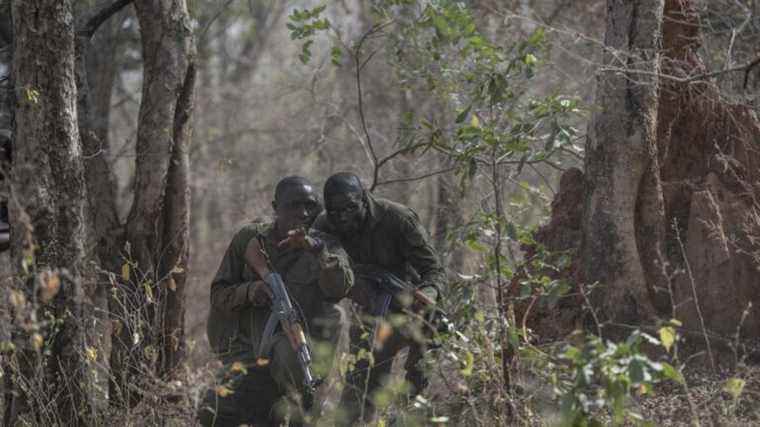 Update on African Parks, hit by terrorist attacks at the W natural park in Benin