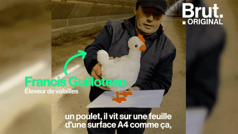 VIDEO.  “A chicken, he lives on the surface of an A4 sheet, we have to stop that”