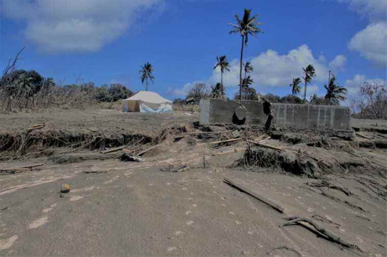 Volcanic eruption |  SpaceX offers 50 satellite terminals to the Tonga Islands