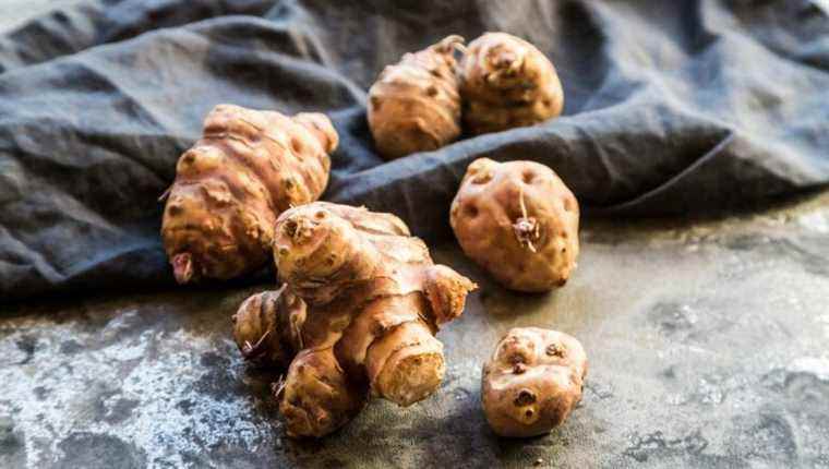 We cook Jerusalem artichokes with Anne Lambling