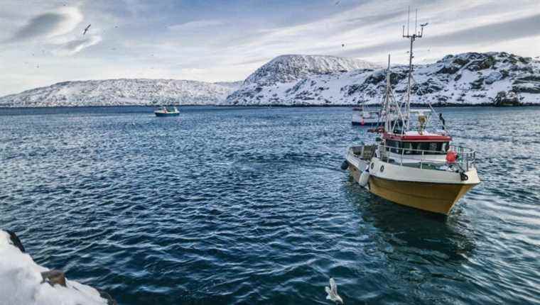 We cook skrei cod, with Karine Lépine from Madame restaurant in Nancy