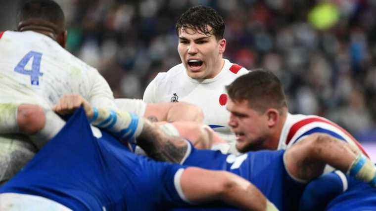 “We will have to go up a notch” against Ireland, underline Raphaël Ibañez and Antoine Dupont