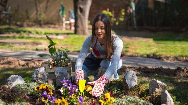 What to do at this time for the ornamental garden and flower beds?