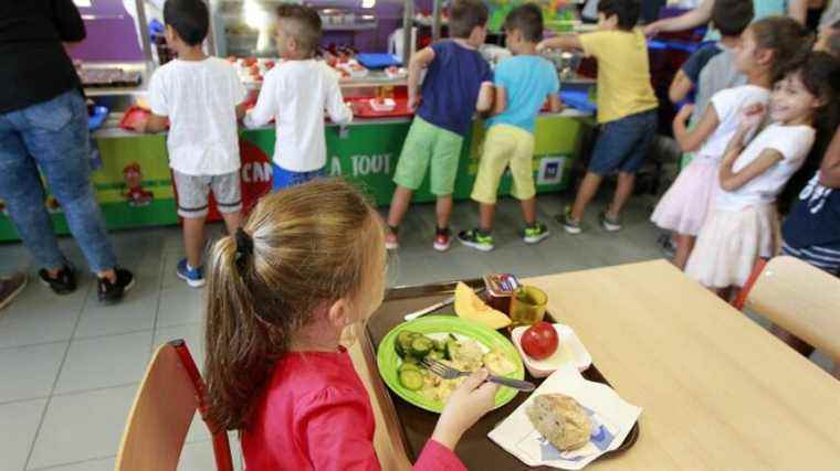 What’s going on at the kindergarten canteen in Lansargues?