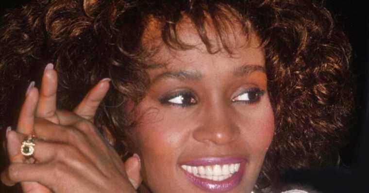 Whitney Houston bisexual: she had a love affair with her childhood friend